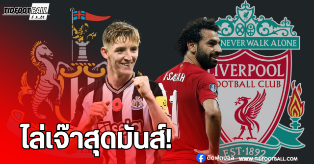 Web_Template - 2024-12-05T122856.181